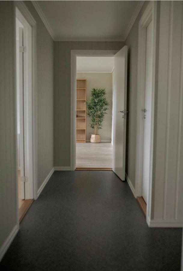 Appartement Jasund Sunview à Lyngdal Extérieur photo